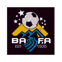 納西努FC